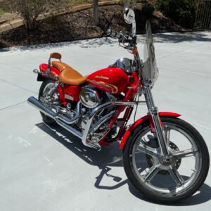 2001 Dyna Wide Glide® Special Edition